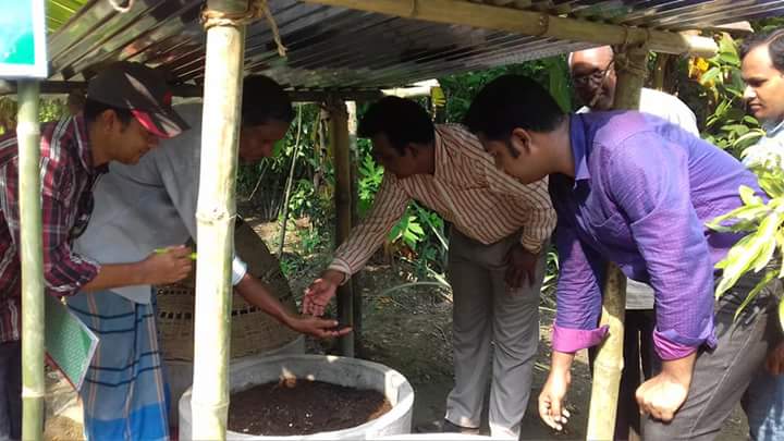 মাটির স্বাস্থ্য রক্ষায় ভার্মিকম্পোস্ট