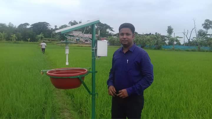 পোকার উপস্থিতি নির্ণয়ে সোলার লাইট ট্রাপ