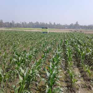 মোয়াজ্জেম হোসেন